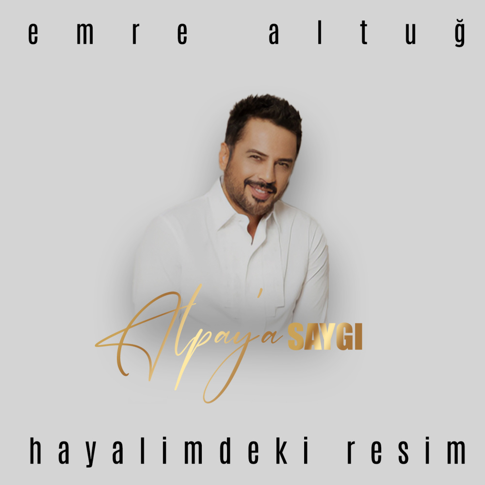 Hayalimdeki Resim (Alpay'a Saygı)