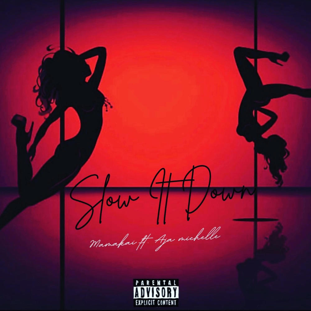 Slow It Down (feat. Aja Michelle) (Explicit)