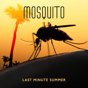 อัลบัม Mosquito (Last Minute Summer, Goodbye to Summer) ศิลปิน Brazilian Lounge Project