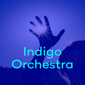 Dengarkan lagu Bloomed nyanyian Indigo Orchestra dengan lirik