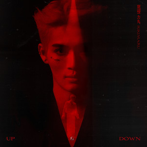 力丸的專輯UP and DOWN