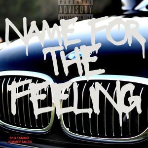 B1GFAMMO的專輯Name For The Feeling (Explicit)