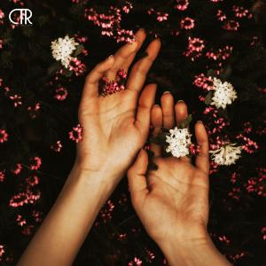收听Franklaay的Romantic Homicide歌词歌曲