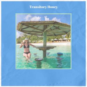 Various Artists的專輯Transitory Honey