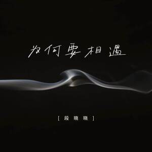 Album 为何要相遇 from 段晓晓