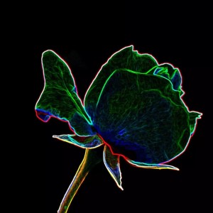 收听李子轩的简单歌词歌曲