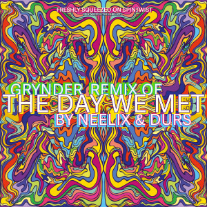 Listen to The Day We Met (Grynder Remix) song with lyrics from Neelix
