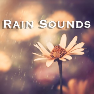 收聽Rain Sounds的Rain: Relaxation歌詞歌曲