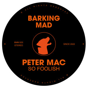 Listen to So Foolish (Original Mix) song with lyrics from Peter Mac