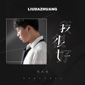 Listen to 我很好（DJ版） (完整版) song with lyrics from 刘大壮