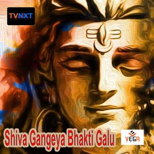 Puttur Narisamha Naik的专辑Shiva Gangeya Bhakti Galu