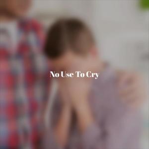 Various Artist的專輯No Use To Cry