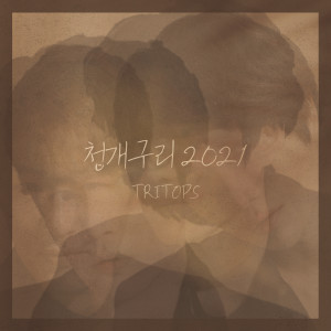 Album 청개구리 2021 from Tritops