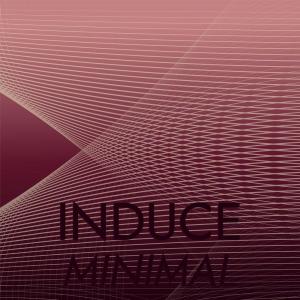 อัลบัม Induce Minimal ศิลปิน Various