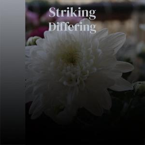 Dengarkan Decent Onto lagu dari Darong dengan lirik