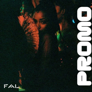 Listen to Promo (Explicit) song with lyrics from FAL