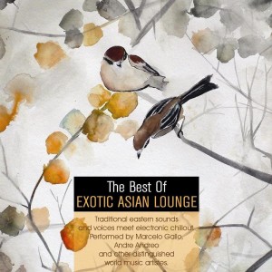 Album The Best of Exotic Asian Lounge oleh Various Artists