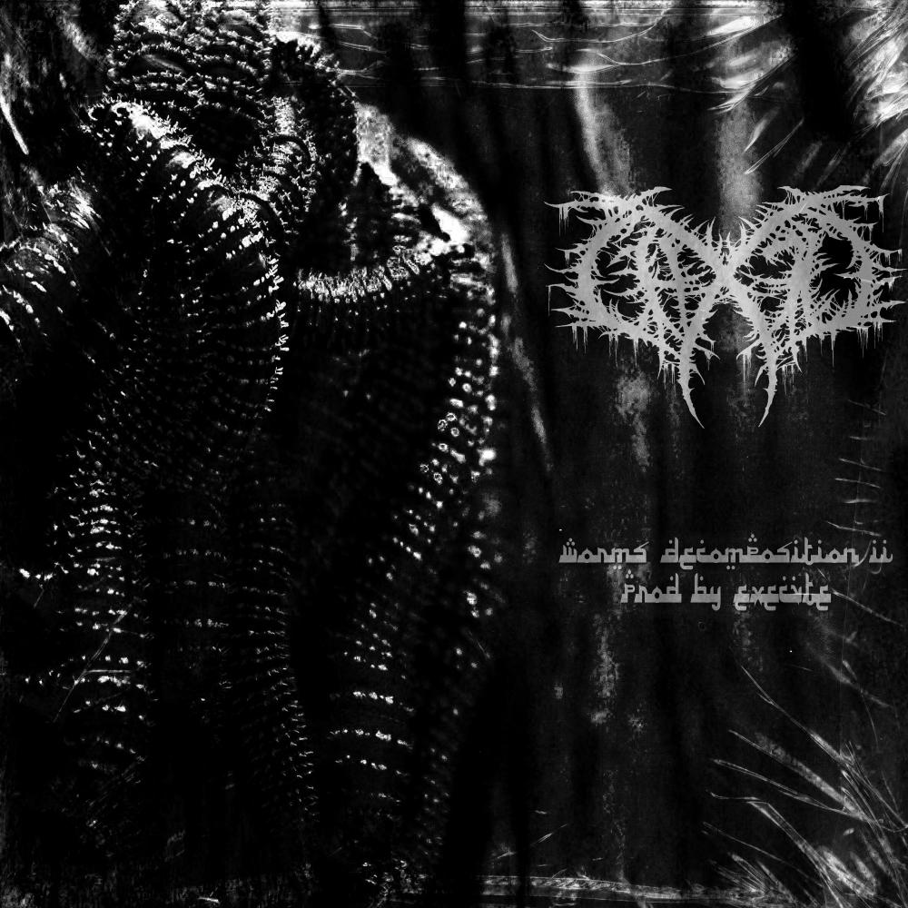 Worms Decomposition II (Explicit)