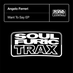ดาวน์โหลดและฟังเพลง Want To Say พร้อมเนื้อเพลงจาก Angelo Ferreri