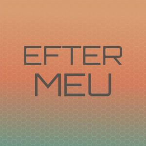 Listen to Efter Meu song with lyrics from Jerick Laik
