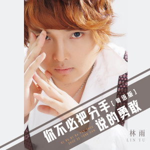 Listen to 你不必把分手说的勇敢 (粤语版伴奏) song with lyrics from 林雨