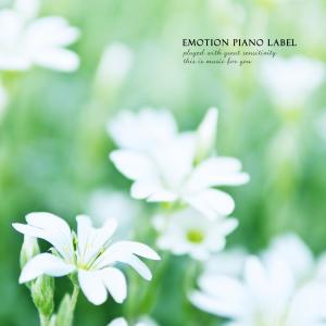 ดาวน์โหลดและฟังเพลง Cover your shoulders. พร้อมเนื้อเพลงจาก 이향기