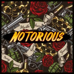 RAJA的專輯Notorious (Explicit)