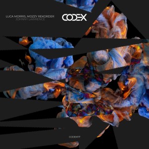 Listen to Icon song with lyrics from Luca Morris