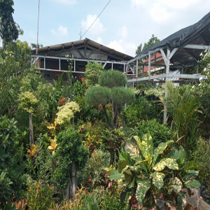 Listen to Anak Riau song with lyrics from trimansa