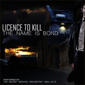 ดาวน์โหลดและฟังเพลง Skyfall พร้อมเนื้อเพลงจาก Secret Service Orchestra