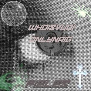 ดาวน์โหลดและฟังเพลง FIELES (feat. whoisvudi!) (Explicit) พร้อมเนื้อเพลงจาก NAIG