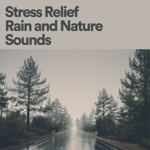 收听Rain Sounds的Flourishing Rain歌词歌曲