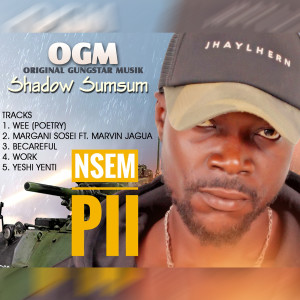 Listen to Yeshi Yenti (Explicit) song with lyrics from Shadow Sumsum