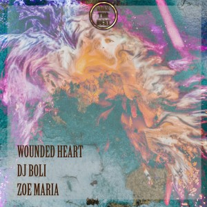 Listen to Wounded Heart song with lyrics from Dj Boli