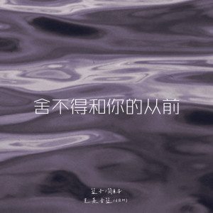 Listen to 舍不得和你的从前 (伴奏) song with lyrics from 篮子