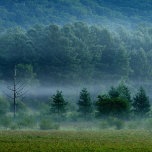 收聽Alice Perry的山澗溪流 (减压助眠轻音乐)歌詞歌曲