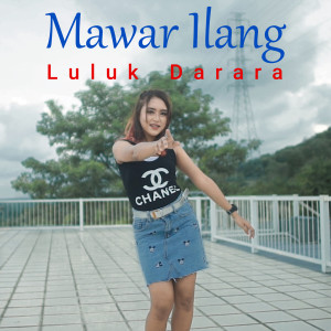 收听Luluk Darara的Mawar Ilang歌词歌曲