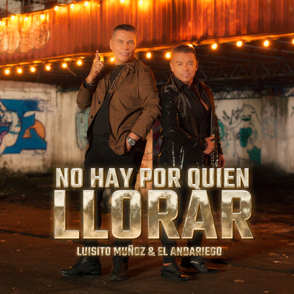 No Hay Por Quien Llorar (Remix)