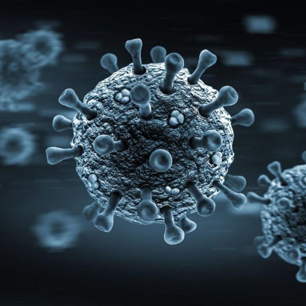 Virus