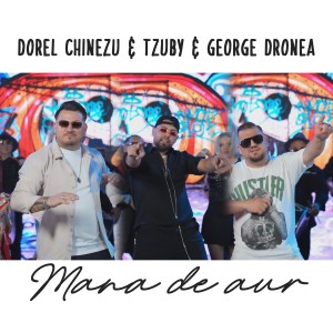 Listen to Mana de aur song with lyrics from Dorel Chinezu