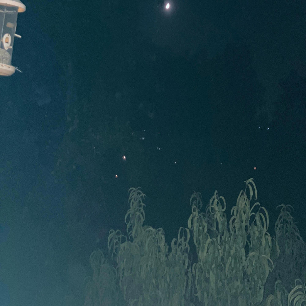 Death, Pt. 2 (Explicit)