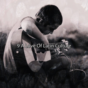 9 A Love Of Latin Culture