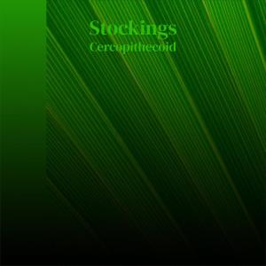 Various的专辑Stockings Cercopithecoid