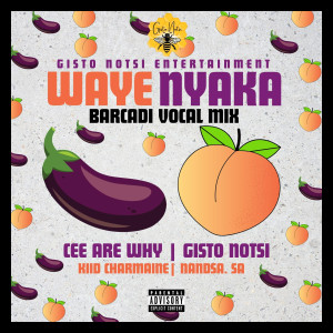 ดาวน์โหลดและฟังเพลง Wayenyaka (Main Mix Barcadi|Explicit) พร้อมเนื้อเพลงจาก Cee Are Why