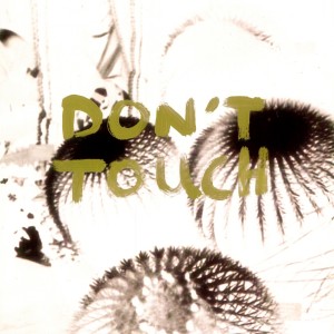 收聽Ma Fleur的Don't Touch歌詞歌曲