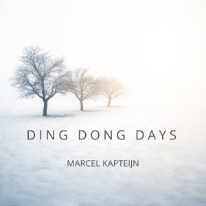 ดาวน์โหลดและฟังเพลง Rain Turns To Snow พร้อมเนื้อเพลงจาก Marcel Kapteijn
