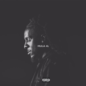 Album Mula 4l (Explicit) from MARTY MULA