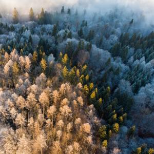 Listen to White Flag song with lyrics from Spa Music Relaxation