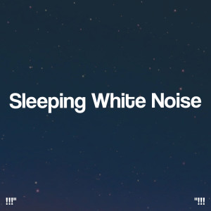 Album !!!" Sleeping White Noise "!!! from White Noise