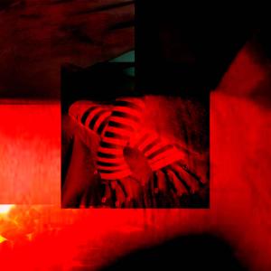 Album Rojo (feat. trixxy) (Explicit) from Trixxy